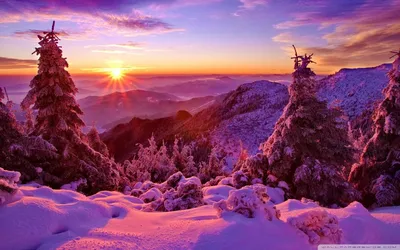 Пурпурный закат зимой (56 фото) - 56 фото