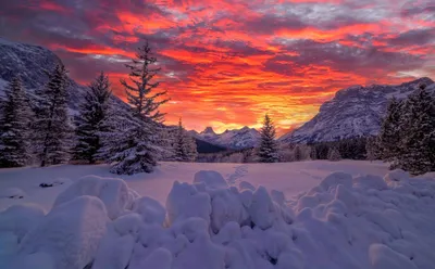 Зимний закат — Фото №120508