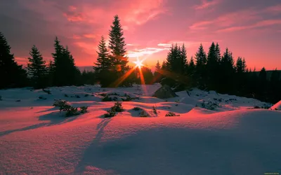 Зимний закат | Живопись | Автор: Ян - DotArt.info