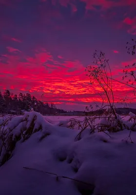 Зимний закат #living_destinations #naturelovers #nature_shooters  #amazingplaces #вырица #vyritsa #зима… | Instagram