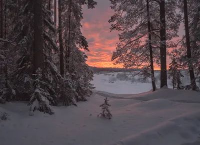 Пурпурный закат зимой - красивые фото