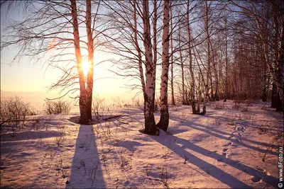 красивый зимний закат на фоне замёрзшего озера. зима привозит тела с  морозом на людей, гуляющих по льду Стоковое Фото - изображение  насчитывающей горизонт, силуэт: 240079608