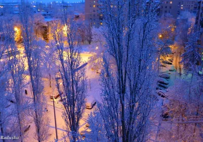 Зимнее утро в городе :: Елена Семигина – Социальная сеть ФотоКто