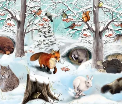 Картинки зимнего леса с животными