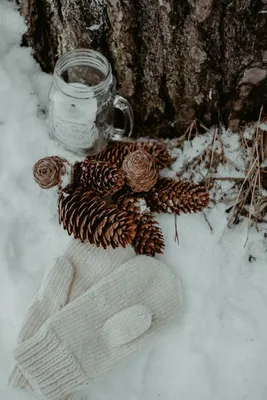 Раскраска Зимний лес | Раскраски времена года - зима. Зимние раскраски,  раскраска зима