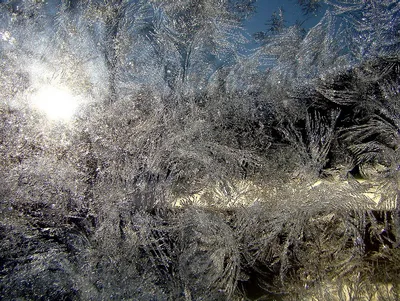 Oh, wonder - Зимние узоры на стекле, нарисованные морозом | Facebook