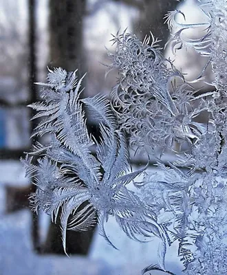 Необычные узоры на окнах от мороза показали жители Воронежской области