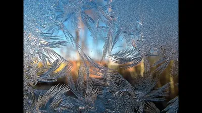 Мороз на стекле - красивые фото