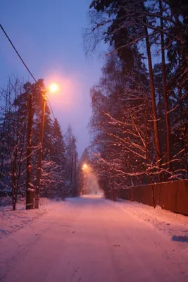 Зимний вечер в городе, снег валит …» — создано в Шедевруме