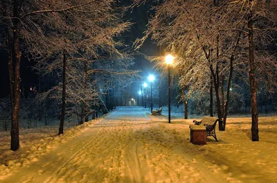 Зимний вечер в городе / Зимний вечер в городе / Фотография на PhotoGeek.ru