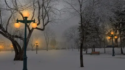 Дорога в парке в зимний вечер Снежно-покрытые деревья против вечернего неба  Вечерний зимний пейзаж Стоковое Фото - изображение насчитывающей пейзаж,  льдед: 164330662
