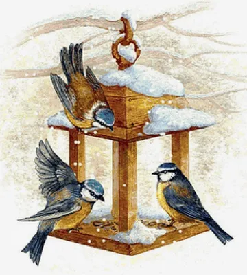 Картинки зимующие птицы на кормушке
