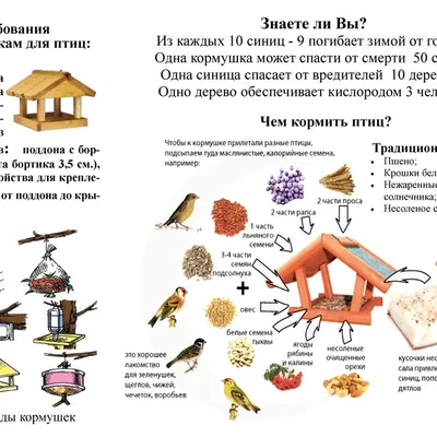 Кормушки для птиц зимой - фото и картинки: 58 штук