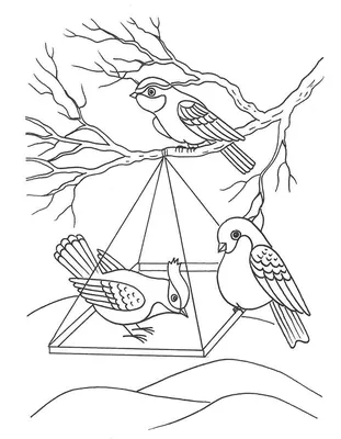 Раскраски Зимующие птицы для детей 4 5 (38 шт.) - скачать или распечатать  бесплатно #3785