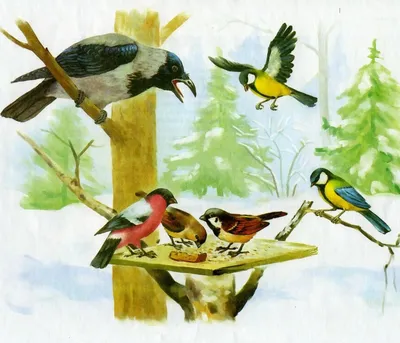 Красивые рисунки по теме: зимующие птицы » Открытки, красивые картинки и  рисунки