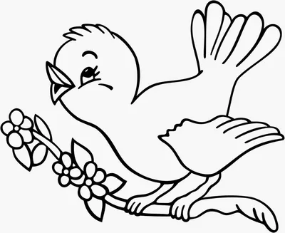 Рисунки раскраски перелетные птицы (41 фото) » Рисунки для срисовки и не  только
