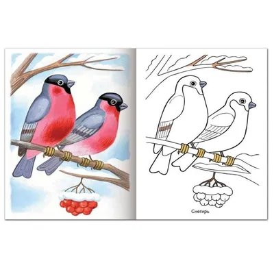 Рисунки для срисовки птиц зимой - 61 фото