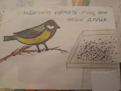 Красивые рисунки по теме: зимующие птицы » Открытки, красивые картинки и  рисунки