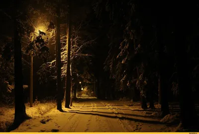 Зима Ночь Зимняя - Бесплатное фото на Pixabay - Pixabay