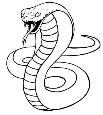 Змея рисунок простой - 54 фото