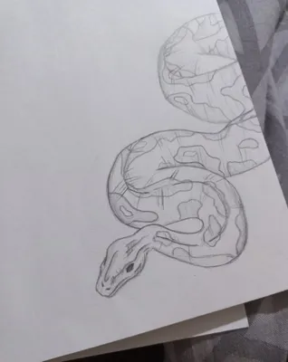 Рисунок карандашом для срисовки змея - 61 фото