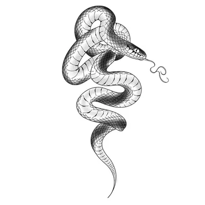 Арт-нуво рисунок змеи» — создано в Шедевруме