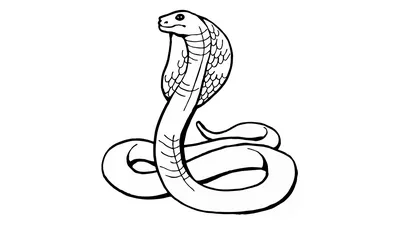 Картинки змей для срисовки (31 фото) 🔥 Прикольные картинки и юмор