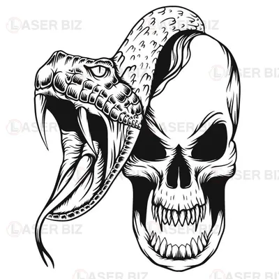 Логотип Змеи Изолированная Змея На Белом Фоне — стоковая векторная графика  и другие изображения на тему Змея - Змея, Векторная графика, Логотип -  iStock