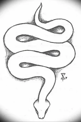 Змея рисунок карандашом для срисовки - 91 фото
