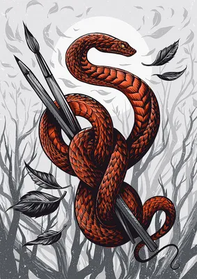 Рисунок змеи Раскраска, змея, ребенок, животные png | PNGEgg