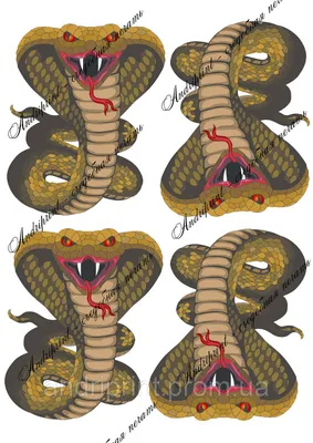 Змея карандашом эскиз (42 шт)
