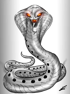 Змеи Удлиненные Безногие Плотоядные Рептилии Подгруппы Змеи Рисунок  Винтажной Линии Векторное изображение ©Morphart 218117196