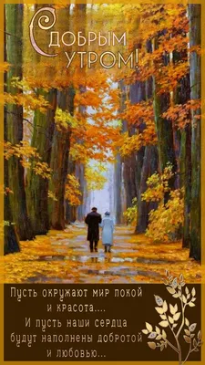 Пин от пользователя Ivanova Anna на доске краски осени | Осенние виды,  Счастливые картинки, Доброе утро