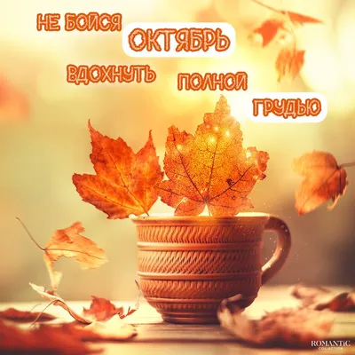 Мудрость жизни - Доброе утро, друзья! Пусть Ваша, Золотая Осень, Будет  тёплой, щедрой и счастливой! Хорошего настроения на весь день! | Facebook
