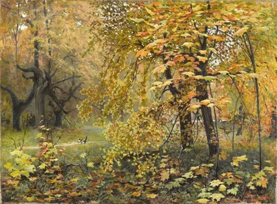 Золотая осень в лесу. Артикул 10003668.