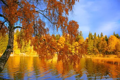Красивая Золотая осень (58 фото) - 58 фото