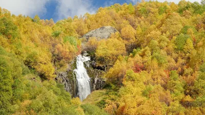 ✓Золотая осень в Горкинско-Ометьевском лесу 🍂 ❤️ нам очень нужен твой… |  Instagram