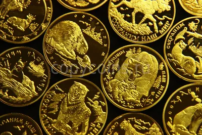 ОС] Загадка \"золотого сокровища Трира\" - самого большого клада золотых монет  времен Римской империи. Тайны истории с Лысым Камрадом. : r/Pikabu