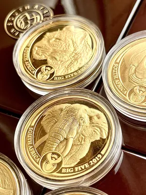 Гора золотых монет» — создано в Шедевруме