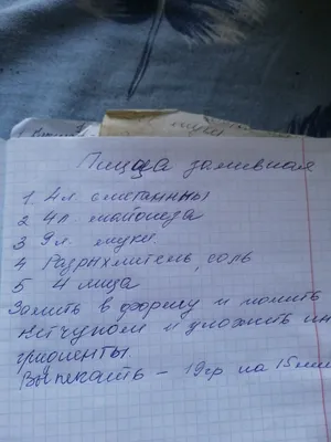 Запрещали детям молиться. Чеченская семья снесла шлагбаум, убегая из Европы  | ПРОИСШЕСТВИЯ | АиФ Ставрополь