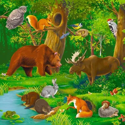 Картинки звери в лесу фотографии
