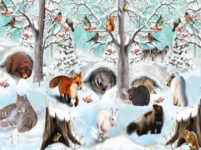 Рождество в зимнем лесу: Перчи устроил праздник для всех зверей» — создано  в Шедевруме