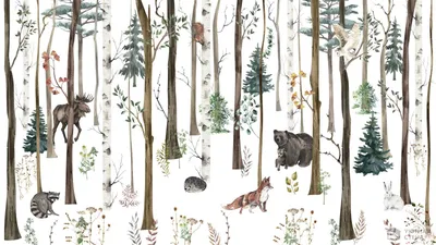 Раскраска звери лесу. Раскраска звери в лесу. Распечатать раскраски на  сайте.