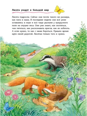 Картинки звери в лесу весной (70 фото) » Картинки и статусы про окружающий  мир вокруг