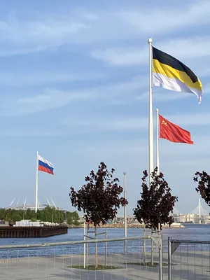 Значок Имперский флаг купить в интернет-магазине www.kamukamu.ru