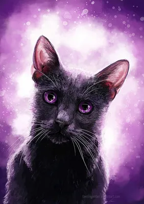 Кошка с фиолетовыми глазами - картинки и фото koshka.top