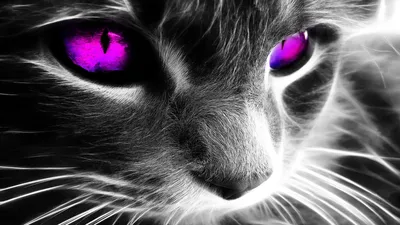 черная кошка смотрит зелеными глазами, картинки кошачьи глаза фон картинки  и Фото для бесплатной загрузки