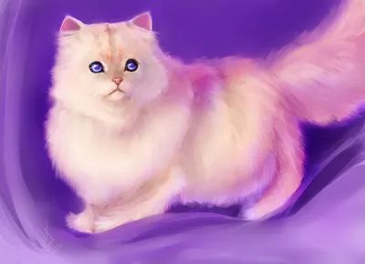 Кошка с фиолетовыми глазами порода - 78 фото