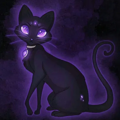 Черный кот с фиолетовыми глазами - 77 фото