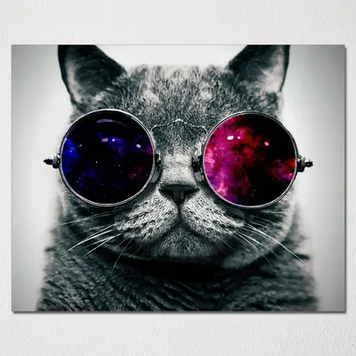 Картинку кот в очках фотографии